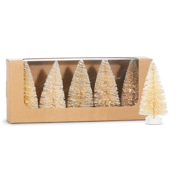 Box of Snowy Natural Bottle Brush Trees