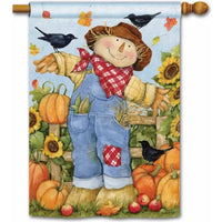 Garden Scarecrow Standard Flag