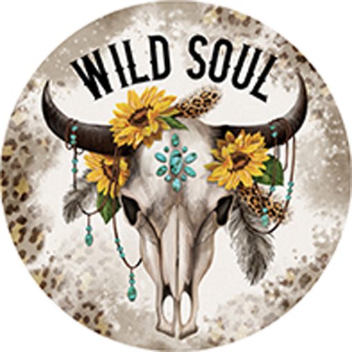 Wild Soul Car Coaster