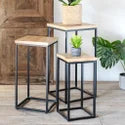 Industrial Plant Stands