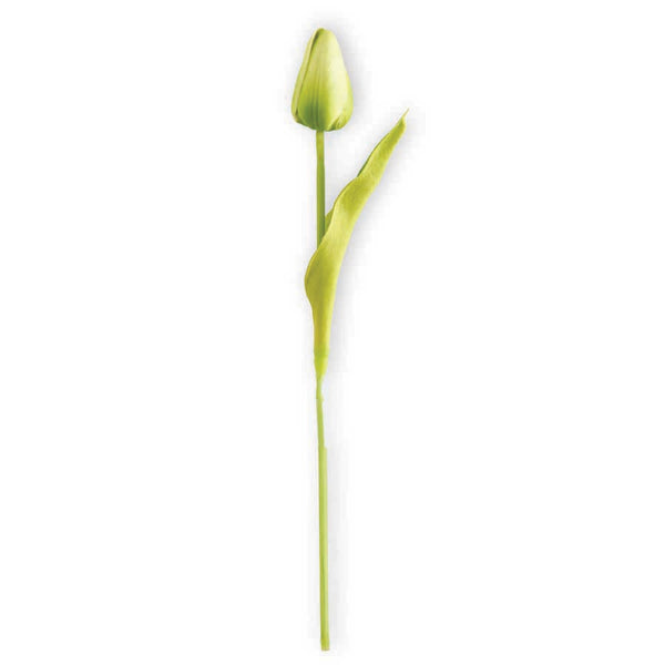 10.5" Green Real Touch Tulip Stem - S and K Collectibles Independence